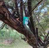 310286205_539280998006954_1621108904110407777_n