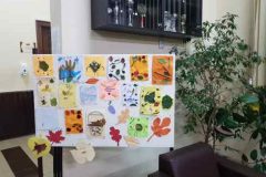 310342055_539285824673138_7962155070181806482_n